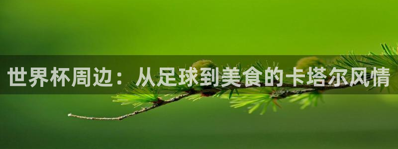 世界杯 赛程：世界杯周边：从足球到美食的卡塔尔风情