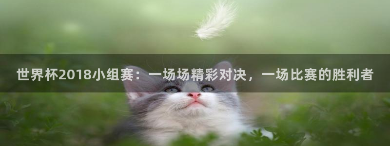 2026男足世界杯赛程：世界杯2018小组赛：一场场精彩对决，一场比赛的胜利者