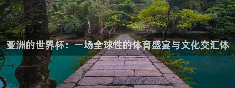 世界杯直播：亚洲的世界杯：一场全球性的体育盛宴与文化交汇体