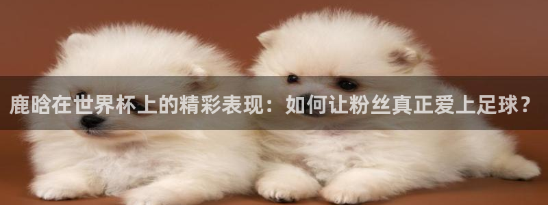 世界杯第一场比赛：鹿晗在世界杯上的精彩表现：如何让粉丝真正爱上足球？