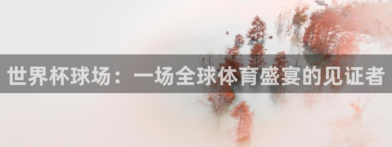 2026年世界杯赛程：世界杯球场：一场全球体育盛宴的见证者