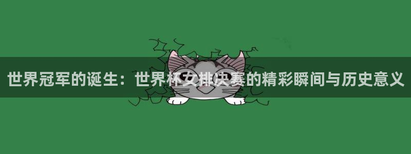 女足世界杯直播在线观看免费高清：世界冠军的诞生：世界杯女排决赛的精彩瞬间与历史意义