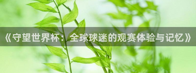 2026世界杯赛程：《守望世界杯：全球球迷的观赛体验与记忆》