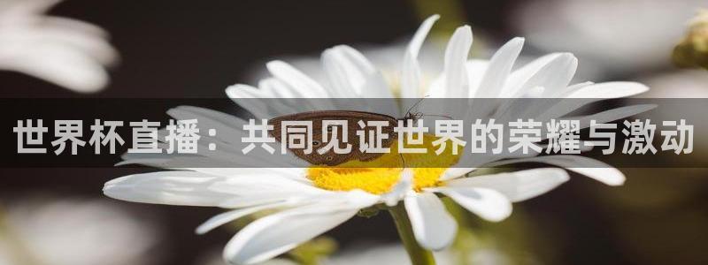 世界杯预选赛排名:世界杯直播:共同见证世界的荣耀与激动