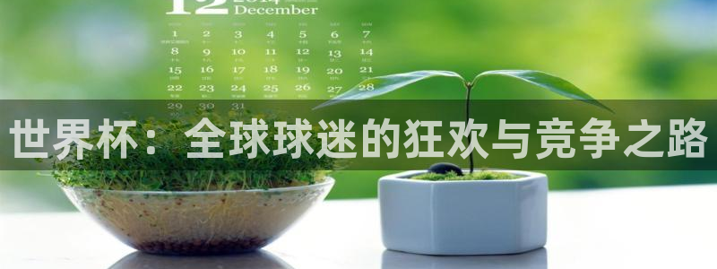 男足世界杯预选赛赛程：世界杯：全球球迷的狂欢与竞争之路