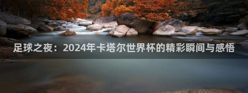 世界杯转播表:足球之夜:2024年卡塔尔世界杯的精彩瞬间与感悟