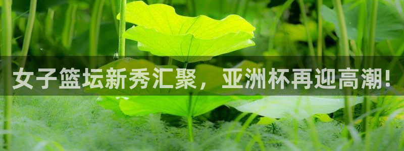 亚洲区世界杯预选赛:女子篮坛新秀汇聚,亚洲杯再迎高潮!